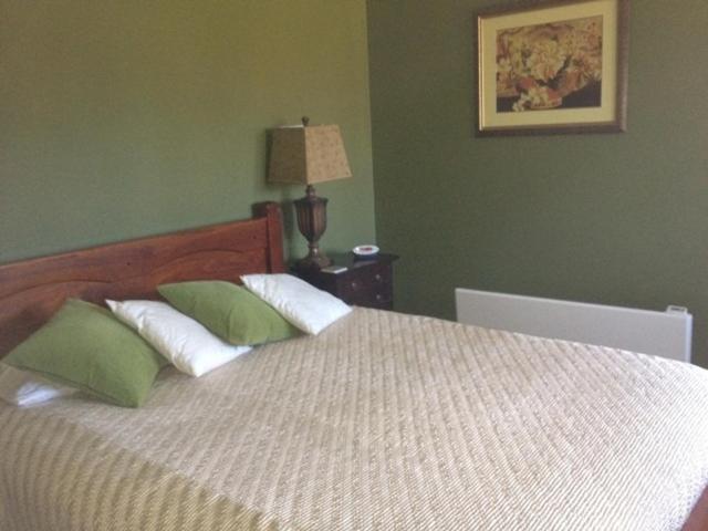 Greengate Bed And Breakfast Robertson Habitación foto